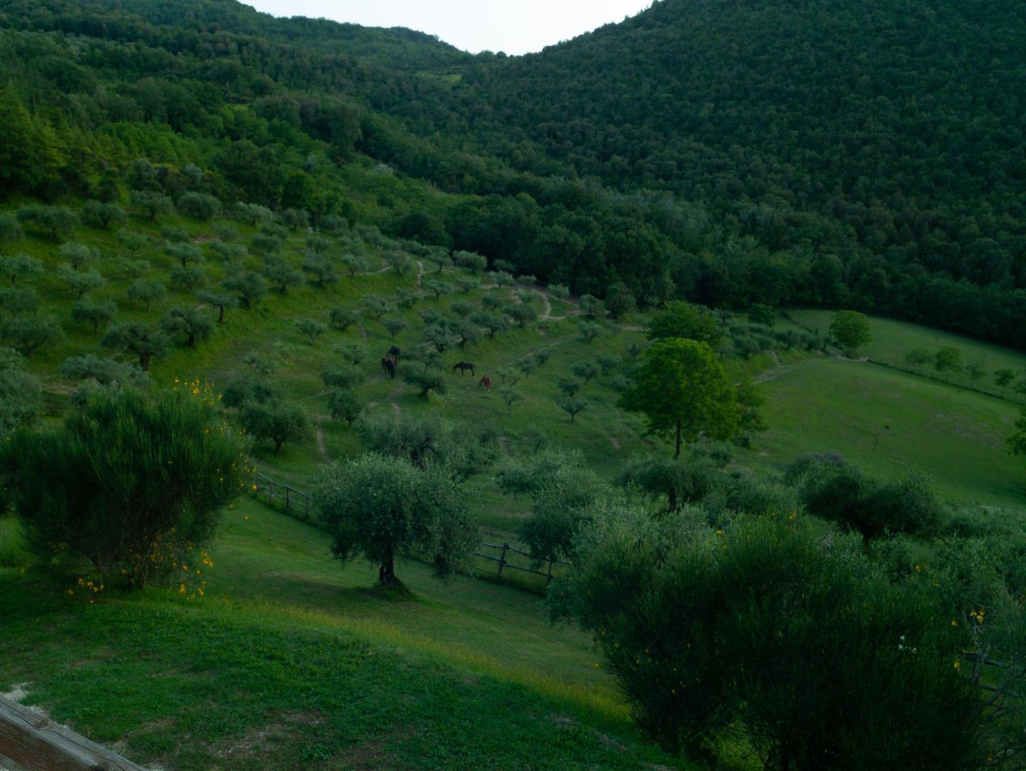 Agriturismo La Fonte Perugia Exterior foto